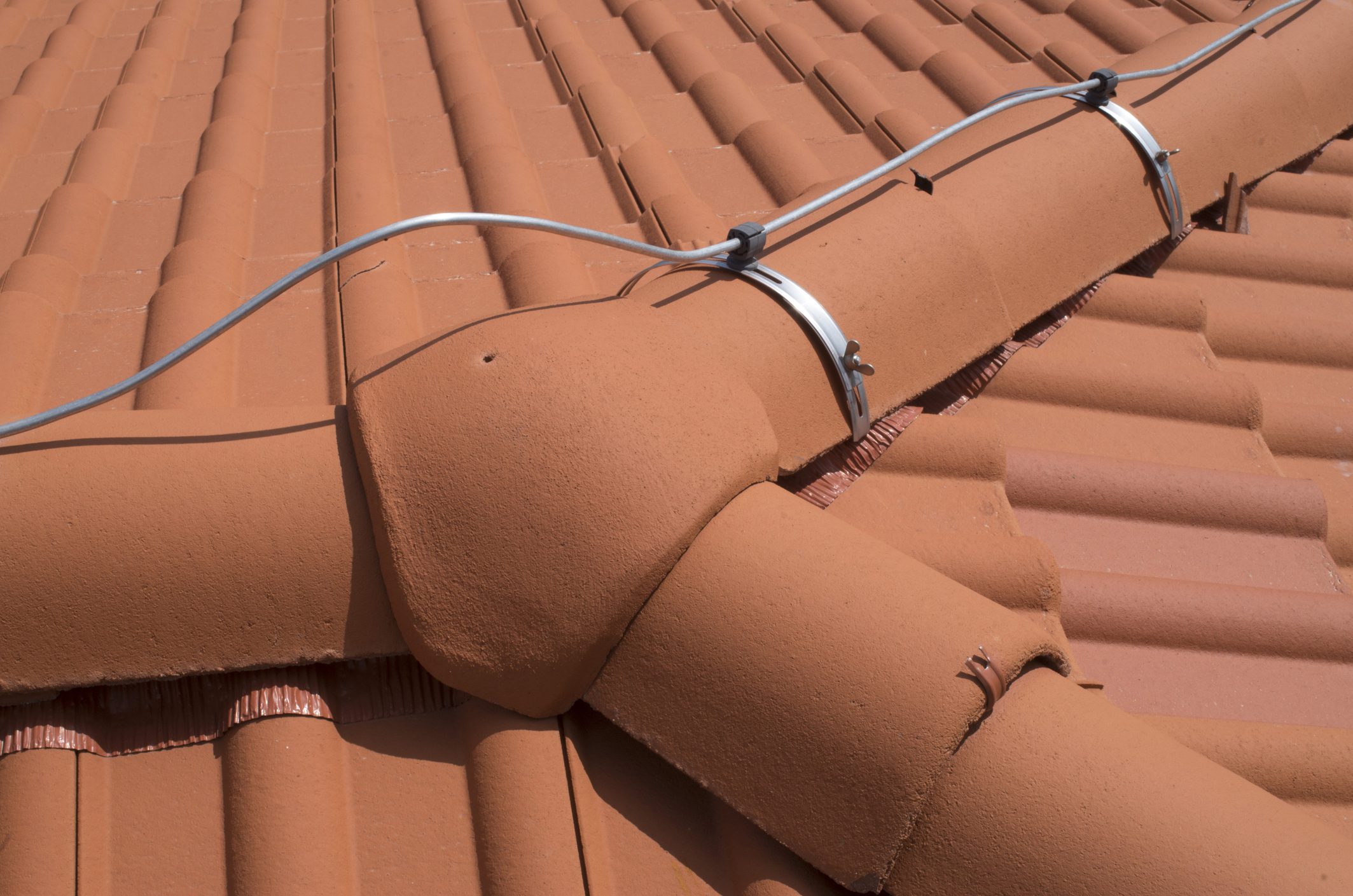 Dry Ridge Systems: What They Are and When You Need One