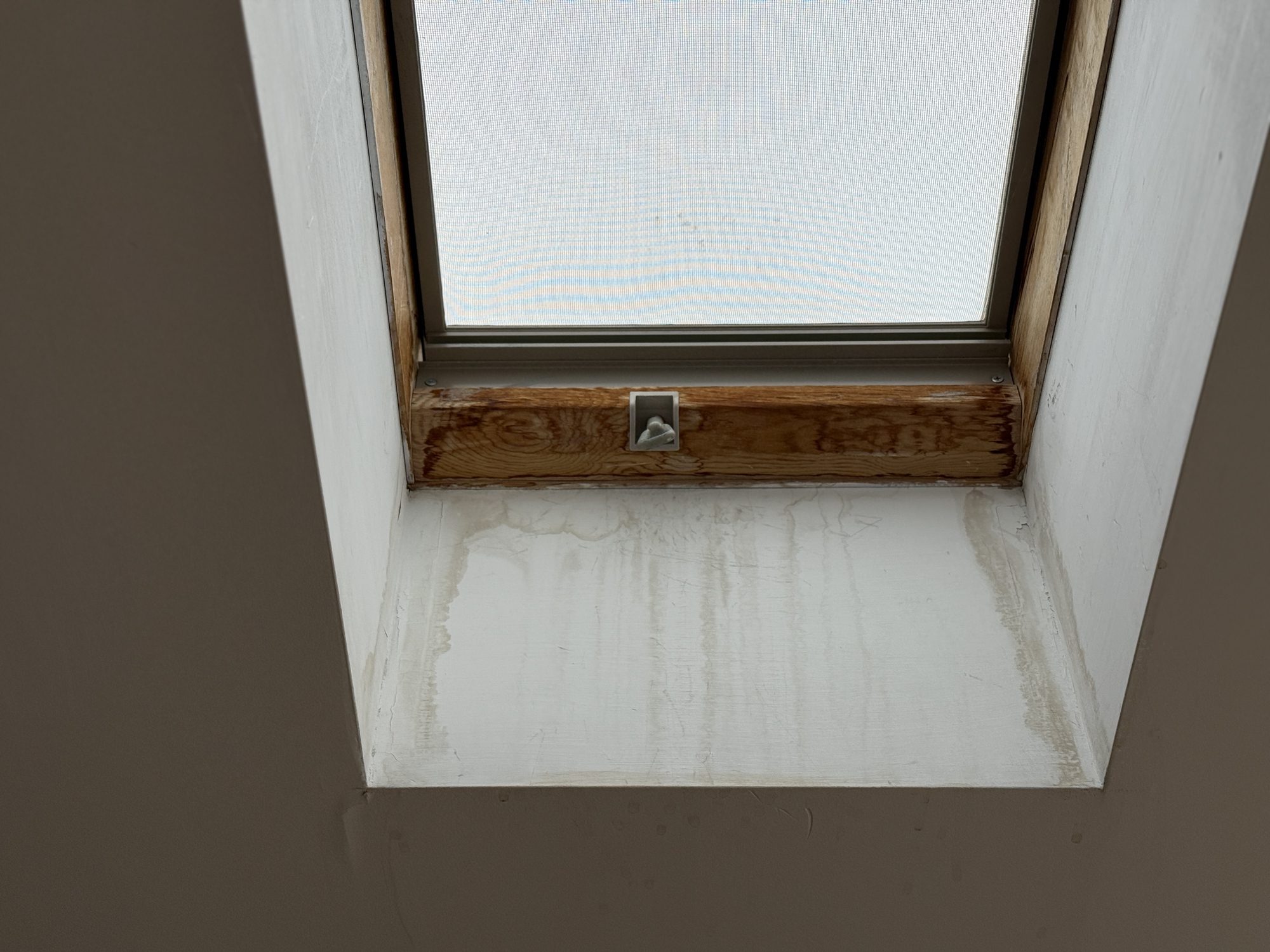 Roof Leaking Around a Velux Window: What Homeowners Need to Know