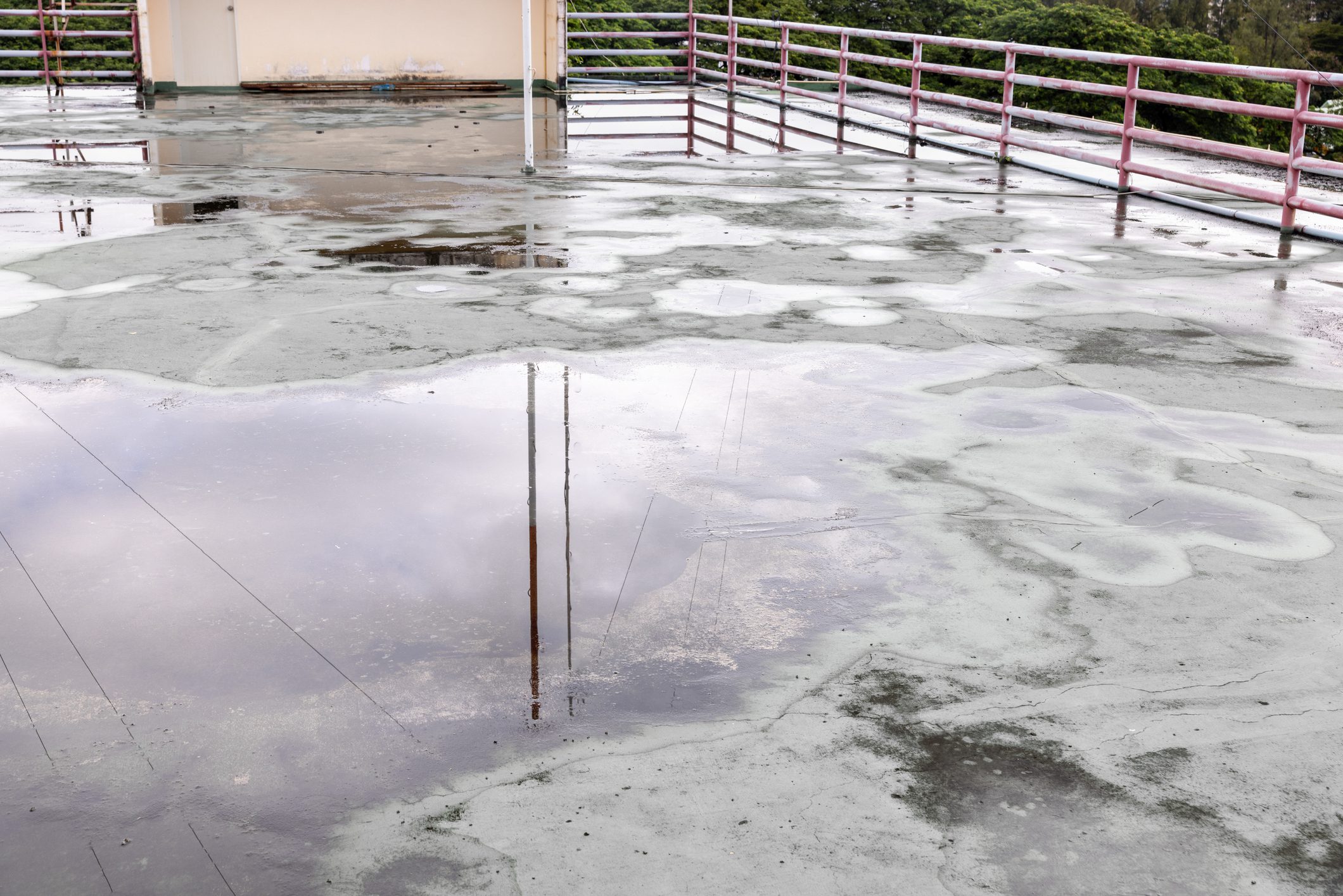 Water Pooling on a Flat Roof: Causes, Problems and Repair Options